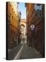 Narrow Street in Lyon (Vieux Lyon), France-Charles Sleicher-Stretched Canvas