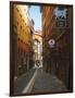 Narrow Street in Lyon (Vieux Lyon), France-Charles Sleicher-Framed Photographic Print