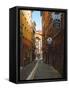 Narrow Street in Lyon (Vieux Lyon), France-Charles Sleicher-Framed Stretched Canvas
