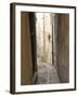 Narrow Street in Passau, Germany-Michael DeFreitas-Framed Photographic Print