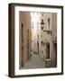 Narrow Street in Passau, Germany-Michael DeFreitas-Framed Photographic Print