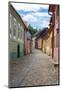 Narrow Street in Sighisoara-alex_bendea-Mounted Photographic Print