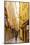 Narrow street in the Old Town, Vieille Ville, Nice, Alpes-Maritimes, Cote d'Azur, Provence, French-Fraser Hall-Mounted Photographic Print