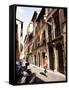 Narrow Street in Trastevere District, Rome, Lazio, Italy-Ken Gillham-Framed Stretched Canvas