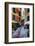 Narrow Street Leading Up To A Church In Portofino-George Oze-Framed Photographic Print