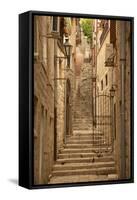 Narrow Street, Old Town, Kotor, UNESCO World Heritage Site, Montenegro, Europe-Frank Fell-Framed Stretched Canvas