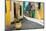 Narrow Street Sidelined by Colorful Buildings in Old Havana-Kamira-Mounted Photographic Print