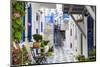 Narrow street, whitewashed buildings with blue paint work, flowers, Mykonos Town (Chora), Mykonos,-Eleanor Scriven-Mounted Photographic Print