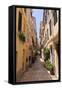Narrow Street with Lady Sweeping, Old Town, Corfu Town-Eleanor Scriven-Framed Stretched Canvas