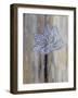 Narrow Tulip Hall-Smith Haynes-Framed Art Print