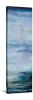 Narrow Waterscape 2-Barbara Bilotta-Stretched Canvas