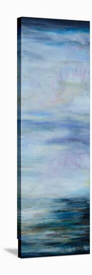 Narrow Waterscape 2-Barbara Bilotta-Stretched Canvas