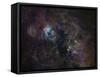 Narrowband Emission in Cygnus-Stocktrek Images-Framed Stretched Canvas