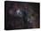 Narrowband Emission in Cygnus-Stocktrek Images-Stretched Canvas