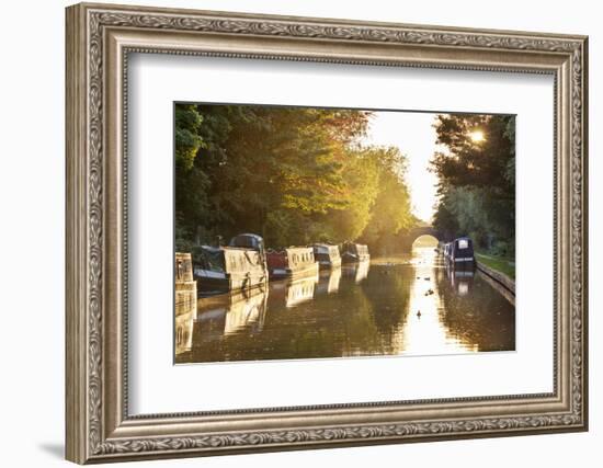 Narrowboats moored on the Kennet and Avon Canal at sunset, Kintbury, Berkshire, England-Stuart Black-Framed Photographic Print