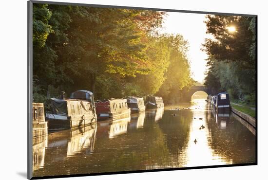 Narrowboats moored on the Kennet and Avon Canal at sunset, Kintbury, Berkshire, England-Stuart Black-Mounted Photographic Print