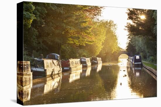 Narrowboats moored on the Kennet and Avon Canal at sunset, Kintbury, Berkshire, England-Stuart Black-Stretched Canvas