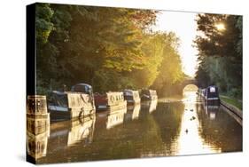 Narrowboats moored on the Kennet and Avon Canal at sunset, Kintbury, Berkshire, England-Stuart Black-Stretched Canvas