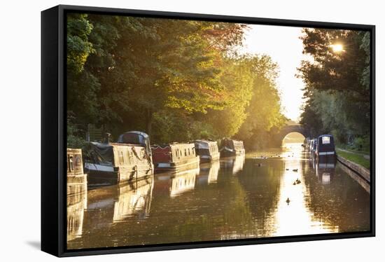 Narrowboats moored on the Kennet and Avon Canal at sunset, Kintbury, Berkshire, England-Stuart Black-Framed Stretched Canvas