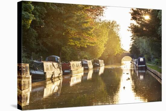 Narrowboats moored on the Kennet and Avon Canal at sunset, Kintbury, Berkshire, England-Stuart Black-Stretched Canvas