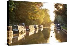 Narrowboats moored on the Kennet and Avon Canal at sunset, Kintbury, Berkshire, England-Stuart Black-Stretched Canvas