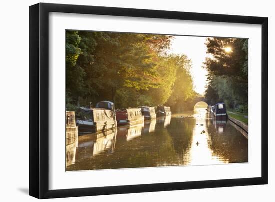 Narrowboats moored on the Kennet and Avon Canal at sunset, Kintbury, Berkshire, England-Stuart Black-Framed Photographic Print