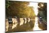 Narrowboats moored on the Kennet and Avon Canal at sunset, Kintbury, Berkshire, England-Stuart Black-Mounted Photographic Print