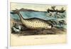 Narwhal, 1863-79-Raimundo Petraroja-Framed Giclee Print