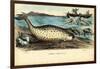 Narwhal, 1863-79-Raimundo Petraroja-Framed Giclee Print