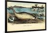 Narwhal, 1863-79-Raimundo Petraroja-Framed Giclee Print