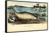 Narwhal, 1863-79-Raimundo Petraroja-Framed Stretched Canvas