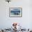 Narwhal (Monodon Monoceros) Showing Tusks Above Water Surface. Baffin Island, Nunavut, Canada-Eric Baccega-Framed Photographic Print displayed on a wall