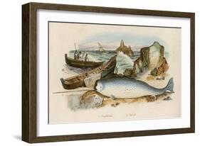 Narwhal-Du Casse-Framed Art Print