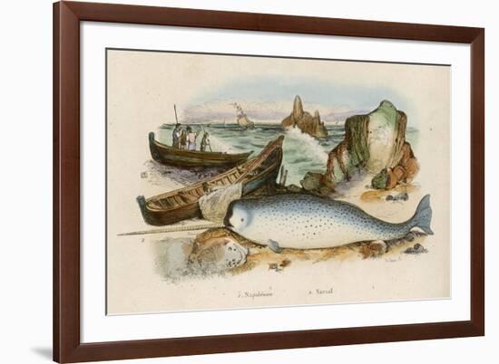 Narwhal-Du Casse-Framed Premium Giclee Print