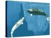 Narwhals-Christian Darkin-Stretched Canvas