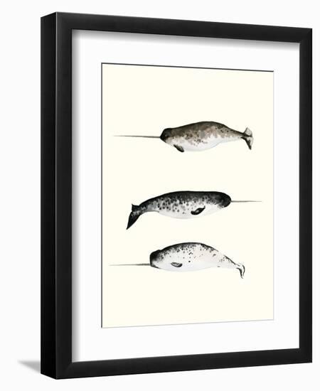 Narwhals-Natasha Marie-Framed Giclee Print