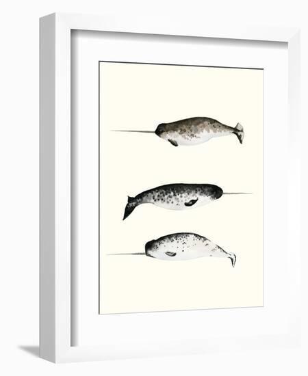 Narwhals-Natasha Marie-Framed Giclee Print