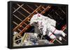 NASA Astronaut Andrew Feustel at International Space Station Photo Poster-null-Framed Poster