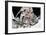 NASA Astronaut Greg Chamitoff at International Space Station Photo Poster-null-Framed Poster