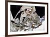 NASA Astronaut Greg Chamitoff at International Space Station-null-Framed Photo