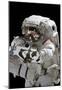 NASA Astronaut Michael Fincke at International Space Station Photo Poster-null-Mounted Poster