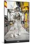 NASA Astronaut Sandy Magnus in Space Suit Photo Poster-null-Mounted Poster