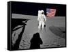NASA Astronaut ?Spacewalk Moon Photo Poster Print-null-Framed Stretched Canvas