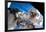 NASA Astronaut Spacewalk Space Earth Photo-null-Framed Poster