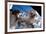 NASA Astronaut Spacewalk Space Earth-null-Framed Photo