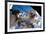 NASA Astronaut Spacewalk Space Earth-null-Framed Photo