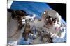 NASA Astronaut Spacewalk Space Earth-null-Mounted Photo