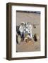 Nasa Astronauts James Irwin and David Scott Testing Lunar Vehicle for Apollo 15, Mojave Desert, 197-Ralph Morse-Framed Photographic Print