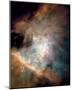 NASA - Center of the Orion Nebula-null-Mounted Art Print