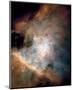 NASA - Center of the Orion Nebula-null-Mounted Art Print